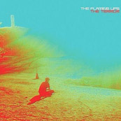 The Flaming Lips - The Terror
