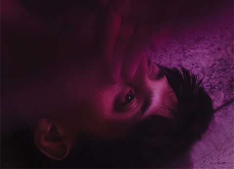 Arca