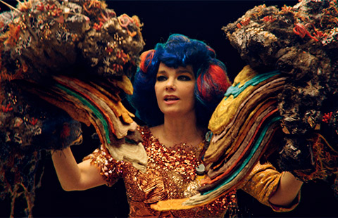 Björk - Mutual Core