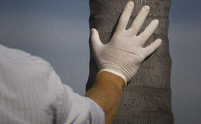 Los Angeles Times - Dexter