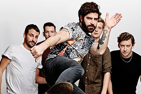 Foals