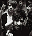 Foals