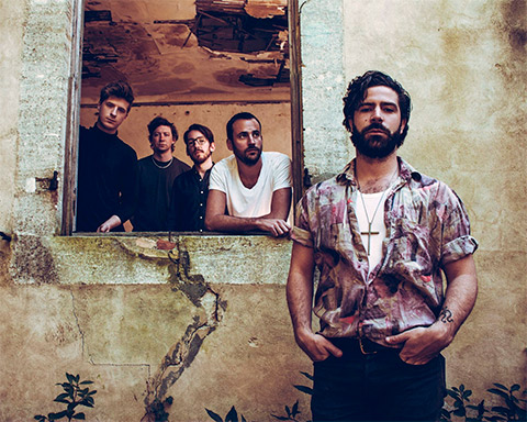 Foals