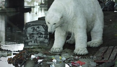 A Homeless Polar Bear in London