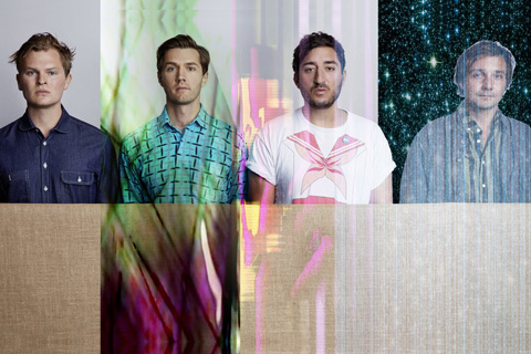 Grizzly Bear - Painted Ruins