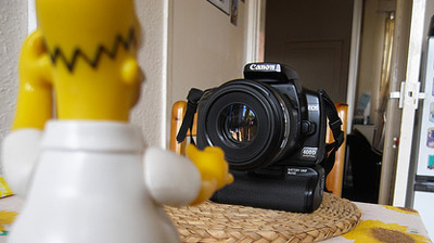One Homer 365 Days