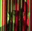 Matmos - Exciter Lamp