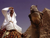 Where in the World is Osama Bin Laden?