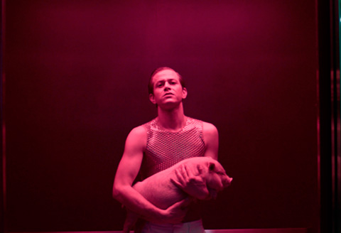 Perfume Genius - Queen