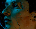 Totally Enormous Extinct Dinosaurs