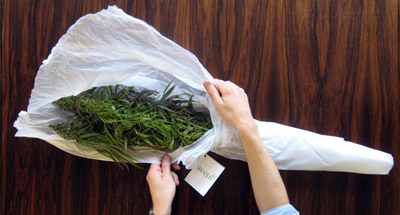 Weeds - Buquê de Maconha