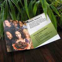 Weeds - Buquê de Maconha